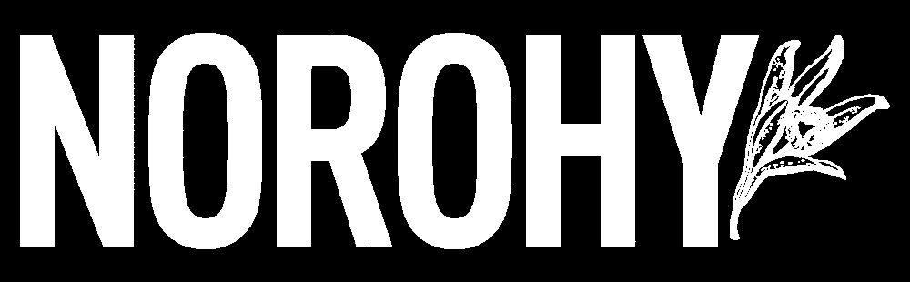 Norohy