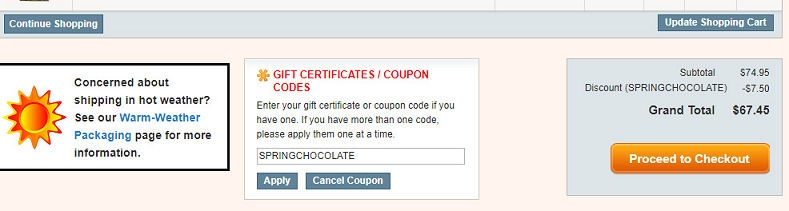 Coupon Code Example