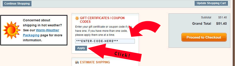 Coupon Code Example